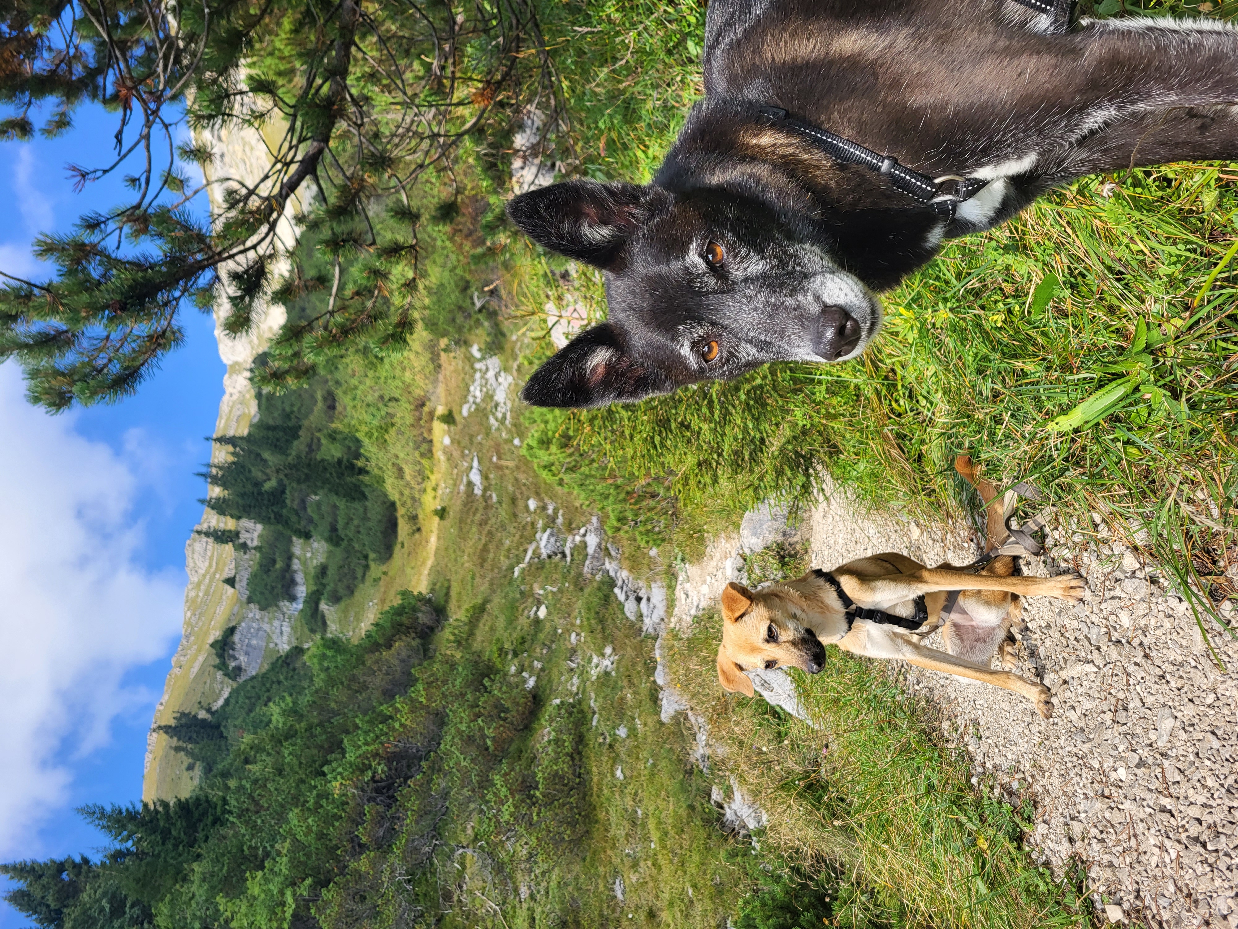 Berge bei Mittenwald